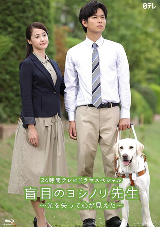 盲眼的淑则老师免费观看