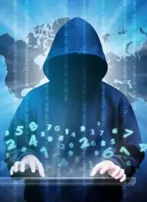 暗网：打击网络犯罪免费观看